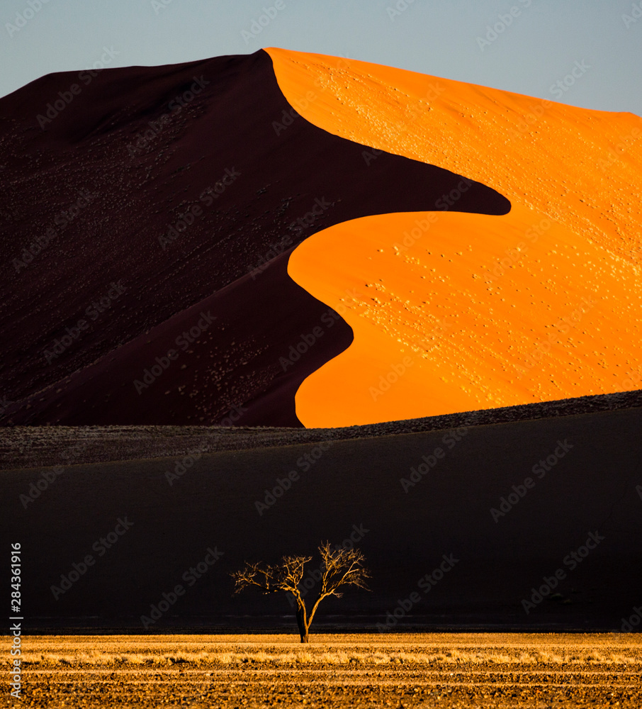 Poster africa, namibia, namib-naukluft national park. abstract of sand dune.