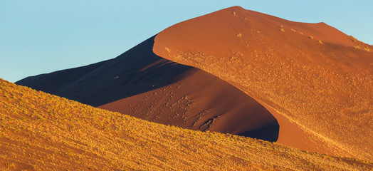 Fototapeta na wymiar Namibia. Grasses populate some surfaces of the tall red sand dunes at Sossusvlei, in Namib-Naukluft National Park.
