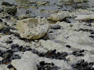 Falaises d'Ault - Somme