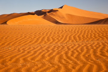 Fototapeta na wymiar Africa, Namibia, Namib Desert, Namib-Naukluft National Park, Sossusvlei. Scenic red dunes with foregrounds of wind driven patterns.