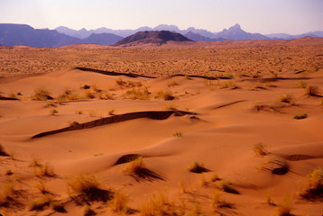 Fototapeta na wymiar Namibia: Namibia Desert, Sossusvlei Dunes, Aerial scenic.