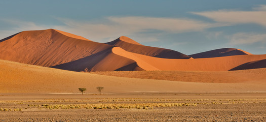 Plakat Morning light on the sand dunes of Sossusvlei, Namibia