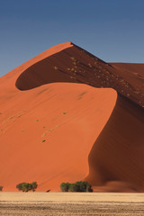 Fototapeta na wymiar Sossusvlei, Namibia. Red Sand Dunes.