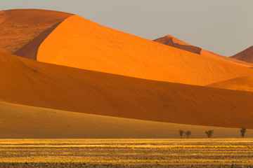 Obraz na płótnie Canvas Africa, Namibia, Namib Desert, Namib-Naukluft National Park, Sossusvlei. Bands of golden grass contrast with the red of the dunes in evening light.