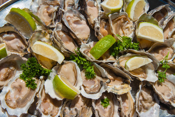 Oysters, Namibia.