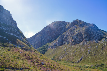 Fototapeta premium Berge in einem botanischen Garten entlang der Garden Route in Südafrika 