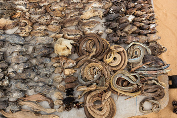 Africa, West Africa, Togo, Lome. Animal heads and reptiles for sale at traditional fetish market.
