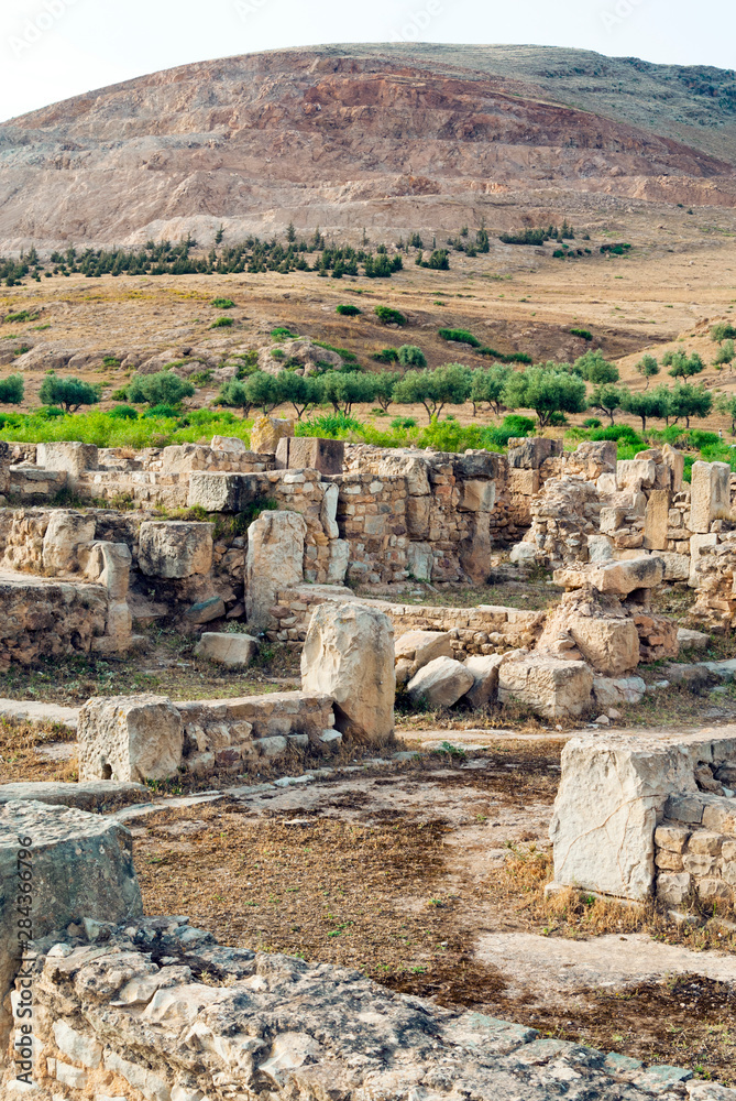 Canvas Prints Roman ruins of Bulla Regia, Tunisia, North Africa