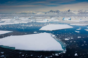 South of the Antarctic Circle, near Adelaide Island. The Gullet. Ice floes.