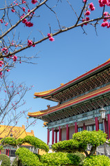  National Theater and National Opera House with Cherry Blossom, Taipei, Taiwan