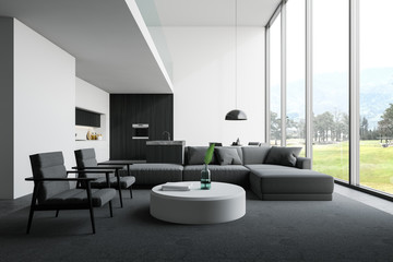 White living room and kitchen interior
