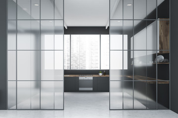 Gray and glass kitchen interior