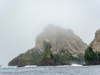The Shag Rocks close to South Georgia, an uninhabited group of rocky islands in the southern ocean. Rookery of Imperial Shags (Phalacrocorax albiventer oder Leucocarbo atricpes).