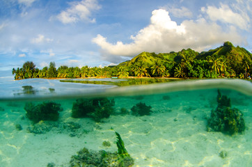 Moorea tropical island in the sea of French Polynesia