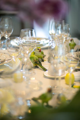 Table set with glass