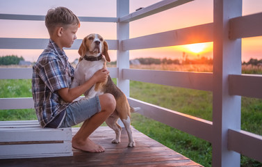 cute boy and dog Beagle sitting hugging on the veranda of the house on a summer evening against the sunset