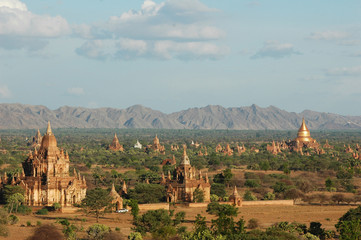 Myanmar, Bagan, Temple packed plain of Bagan and its green bushes