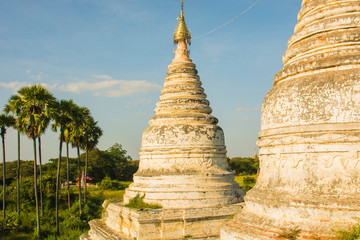 Myanmar. Bagan. Minochantha Stupa group and palm trees beyond.