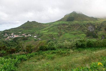 Fototapeta na wymiar Jungle view on Flores, Azores, Portugal, Europe, Atlantic Ocean