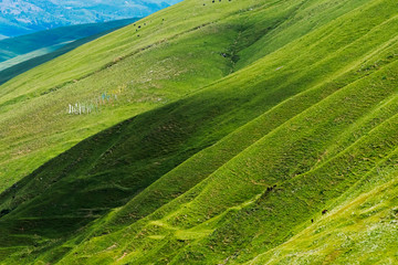 Meadow in the mountain, Bamei, Garze Tibetan Autonomous Prefecture, western Sichuan, China