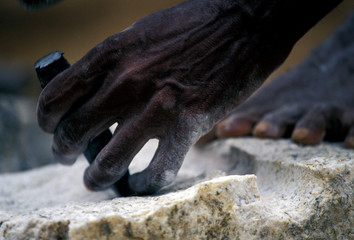Asia, India, Bangalore. Construction laborer, stone cutter.
