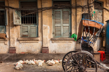 Chickens and rickshaw on street, central Kolkata, or Calcutta, West Bengal, India