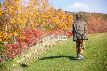 A man walking up on the slope with red yellow tree in autumn season, taken from Hokkaido Japan. Successfull concepts.