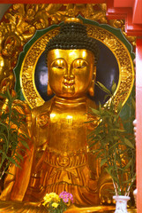 Asia, Hong Kong. Golden Buddha in Sha Tin Cementary.