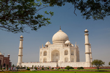 Fototapeta na wymiar Asia, India. Taj Mahal with trees above as framing element.