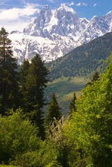 Fototapeta na wymiar Wonderful mountain scenery of Svanetia with Mount Ushba in the background, Georgia
