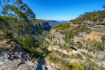Fototapeta na wymiar hiking to norths lookout, blue mountains national park, australia 2