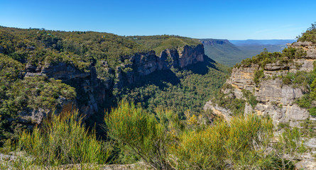 Fototapeta na wymiar hiking to norths lookout, blue mountains national park, australia 5
