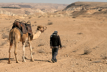 Israel, Negev Desert. A Bedouin man walks with a camel across the desert.