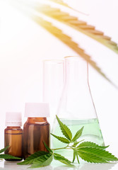 Medical, chemical theme background with cannabis leaves, oil bottle and laboratory glass flasks behind on a white.