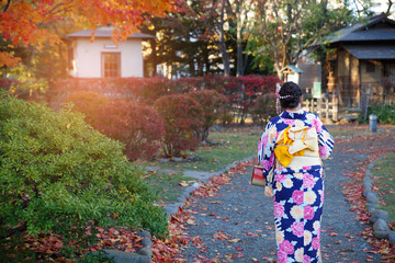 Beautiful girl wearing japanese traditional kimono in autumn. Autumn park in Sapporo, Japan. The colourful Kimono and the colourful leaves makes this scene so beautiful.