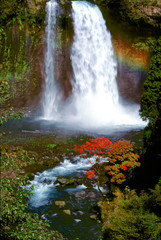 Fototapeta na wymiar Japan, Honshu, Yamanashi Pref., Fuji-Hakone-Izu NP. Shiraito Falls culminates in a lacy froth in Fuji-Hakone-Izu National Park, Japan.