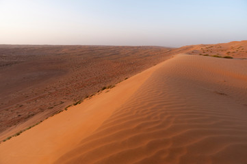 Fototapeta na wymiar Wahiba Sands desert, Oman