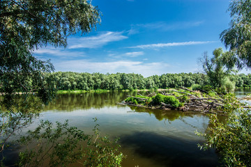 Fototapeta na wymiar Blue lake among green forest