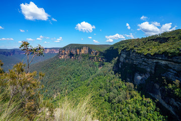 Fototapeta na wymiar hiking the pulpit rock track, blue mountains national park, australia 15