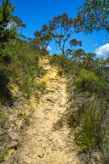 Fototapeta na wymiar hiking the pulpit rock track, blue mountains national park, australia 18