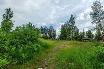 Beautiful nature landscape on sunny summer day. Small wooden private house between tall green trees on blue sky background.