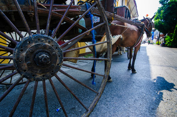 Horse and cart riding through the Spanish colonial architecture in the Unesco World Heritage Site,...