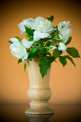bouquet of beautiful white roses on a orange