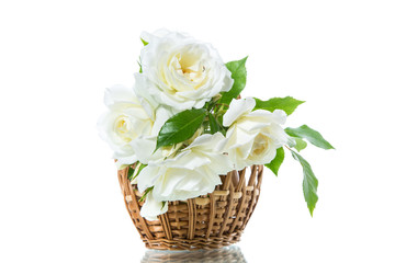 bouquet of beautiful white roses isolated on white