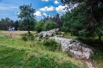 Riuns of Hitler's bunker