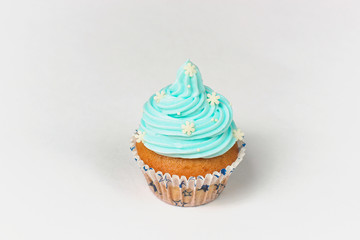 winter cupcake