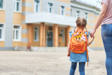 girl with briefcases near the school.