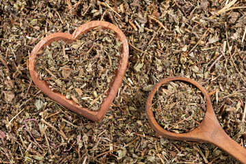 Phyllanthus niruri - stone chanca. to eliminate kidney stones and fight hypertension