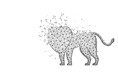 Lion low poly design, African animal abstract geometric image, wild cat wireframe mesh polygonal vector illustration made from points and lines on white background