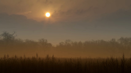 Fototapeta na wymiar Sunrise on a field in the fog